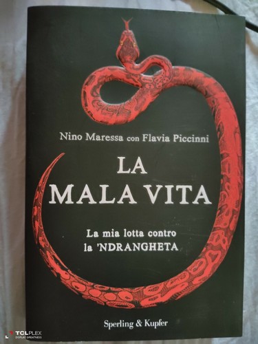 Nino maressa flavia - nino,