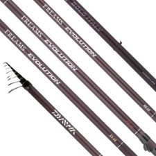 Canna bolognese daiwa freams - canna,