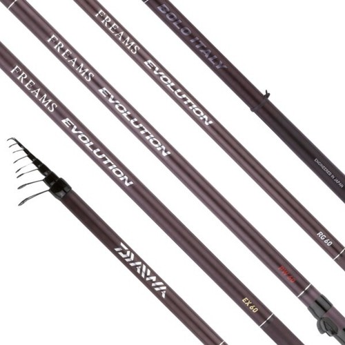 Canna bolognese daiwa freams - bolognese,