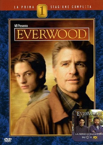 Dvd everwood stagione 1 - dvd,
