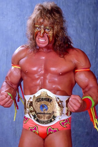 Poster wwe gigante - poster,