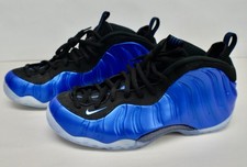 Nike Air Foamposite One Dark