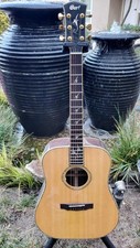 Rare Cort Earth LE2 Limited