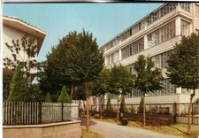 CARTOLINA NARZOLE   VIAGGIATA