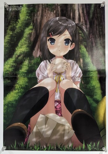 Poster promozionale anime