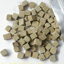 Cubo di verme rosso essiccato