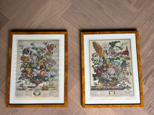 Coppia stampe antiche - coppia, arte