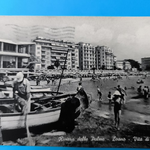 Riviera delle palme loano - palme, vita