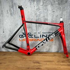 Miglio basso! 2014 Cipollini
