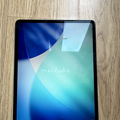 Apple ipad pro - 4a, generazione
