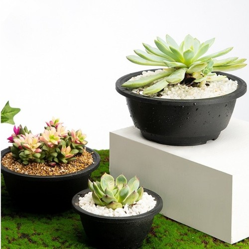 Vaso per bonsai plastica - per,