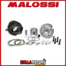 318691 gruppo termico malossi - gruppo,