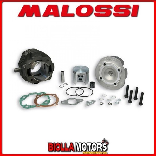 318691 gruppo termico malossi - gruppo,