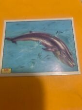 FIGURINA N.320,ANIMALI