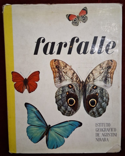 Farfalle ist geo - farfalle,
