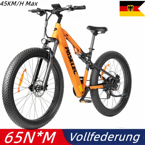 Mtb 16ah pedelec 1000w - 16ah,