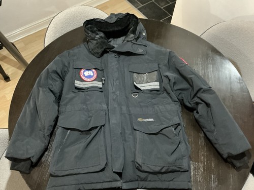 Canada goose snow - canada, parka