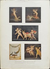 ANTICA STAMPA COLORI 1925