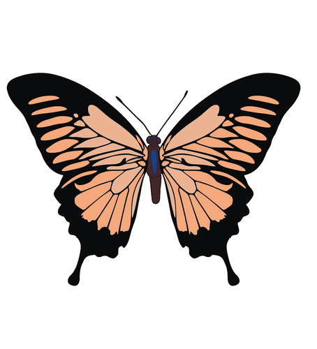Adesivi auto sticker - x,