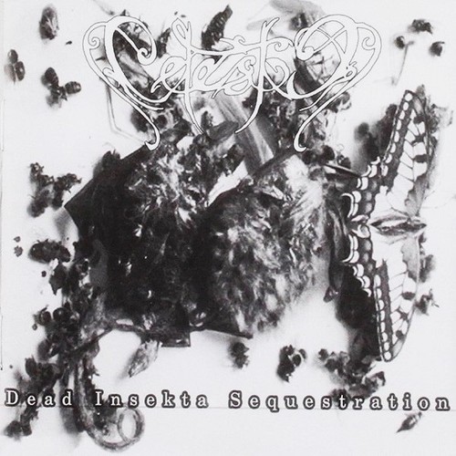Celestia dead insekta - dead,