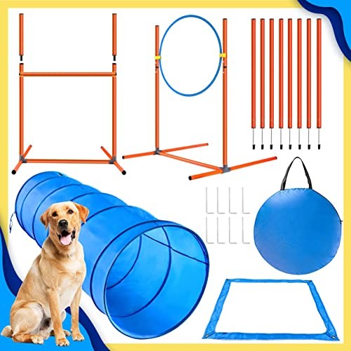 Xben dog agility equipment - x,