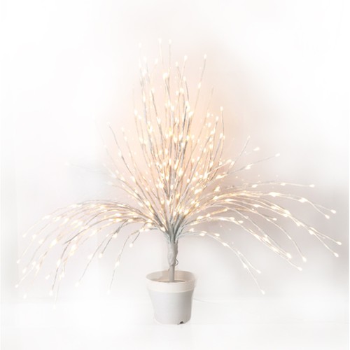 Hervit corallo luminoso - -,