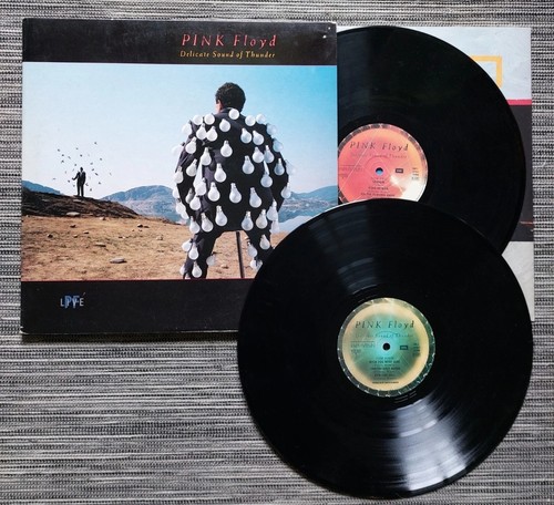 Pink floyd delicate - pink, sound