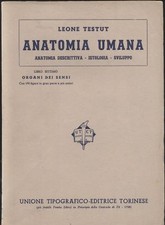 ANATOMIA UMANA Libro VII