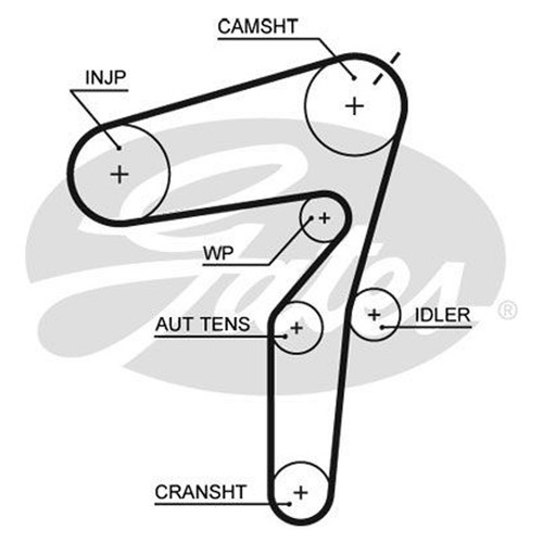 Kit cinghia distribuzione - kit,
