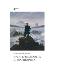 Arde d'immensità il mio