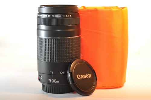 Canon 300mm 5 6 - ef, iii