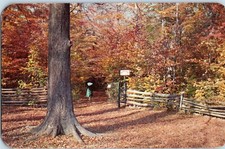 Sacred Grove Ny Aperto Gates
