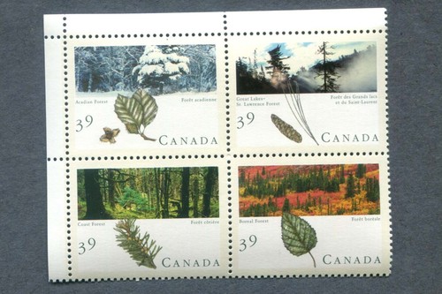 Canada 1990 coast forest - canada,
