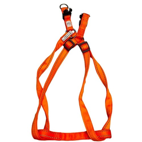 Imbracatura per cani sportiva