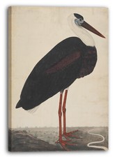 Tela/Cornice Lavoro singolo