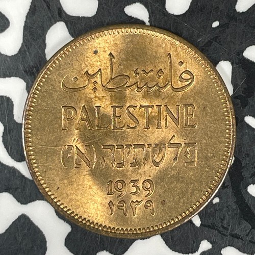 Lotto mil palestina 1939 - 1,