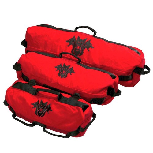 Cerberus strength training - cerberus, gp