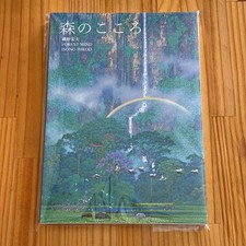 Libro d'arte Hiroo Isono Mori no Kokoro nuovo mai aperto formato A4