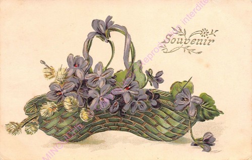 Cartolina gauffree goffrato - cartolina,