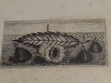 Incisioni antiche Giuseppe