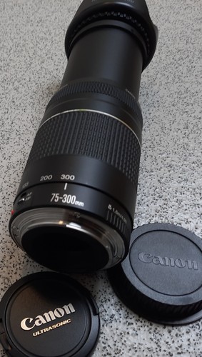 Canon 300 4 - 75-300, mm