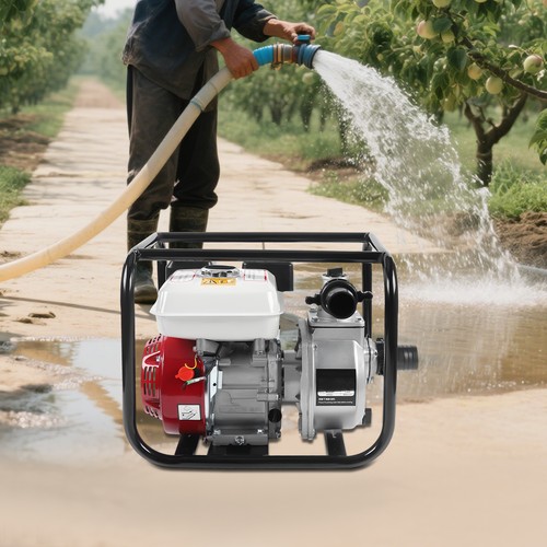 Pompa acqua benzina motore - , 4
