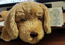 Cane sdraiato colore marrone