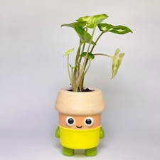 Vasi Vasetti Decorati Colorati