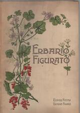 Erbario figurato. Illustrazione e descrizione delle piante u