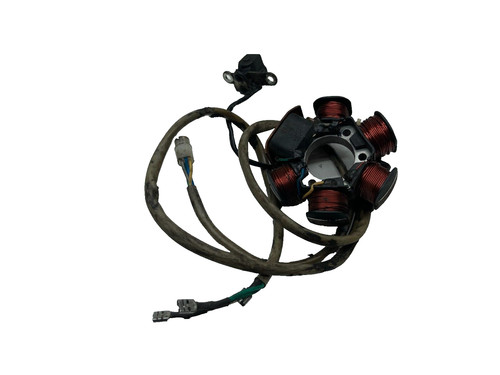 Statore alternatore magnete - statore,
