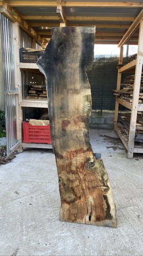 Tavola legno ulivo 169x max - 169x,
