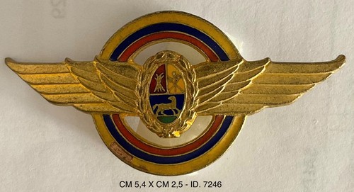 Brevetto pilota aeronautica - brevetto,