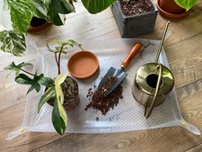 Telone/Tappetino per piante