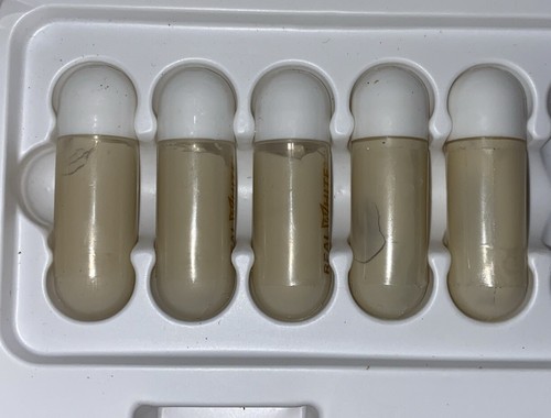 Real white primal life - white,